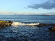 Waves on shore adjacent to garden